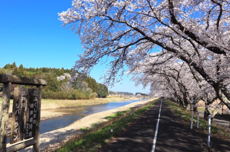 新旧住民をつなぐ福島県浪江町「桜」の会 震災から15年、避難期間中も手入れをしてきた人たち